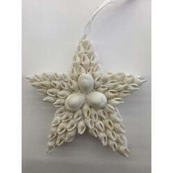 Item 115055 White Nassa Star With Annulus Ornament
