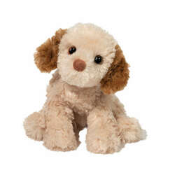 Item 168033 thumbnail Biscuit Cavapoo