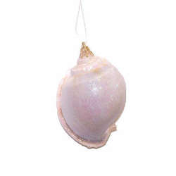Item 220005 Snail-like Shell Ornament