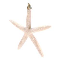 Item 220010 thumbnail Beige Starfish Ornament