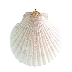 Item 220013 thumbnail White Pecten Shell Ornament