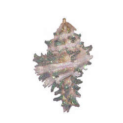 Item 220021 Murex Endivia Shell Ornament
