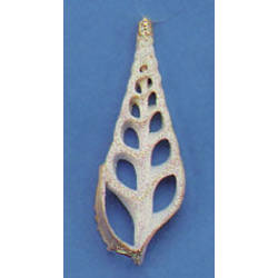 Item 220030 thumbnail Sliced Tibia Shell Ornament
