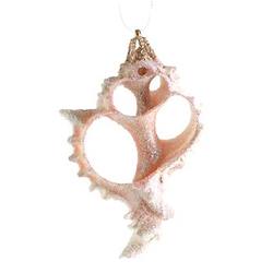 Item 220032 Sliced Pink Murex Shell Ornament