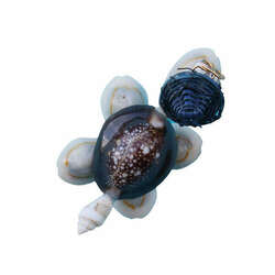 Item 220038 Turtle With Blue Hat Magnet