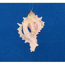 Item 220052 thumbnail Spiny Sliced Conch Shell Ornament