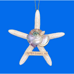 Item 220072 Outer Banks White Finger Starfish With Shells Ornament