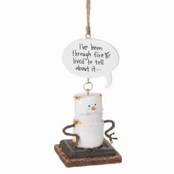 Item 260871 Toasted S'mores I've Been Through Fire & Lived To Tell About It Ornament