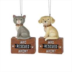Item 261164 Who Rescued Whom Cat/Dog Ornament