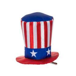 Item 261193 thumbnail Patriotic Pride Mini Hat Clip