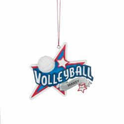 Item 261992 Volleyball Ornament
