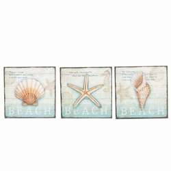 Item 294030 Shell Plaques