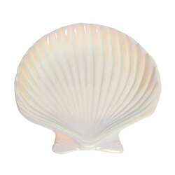 Item 294187 Scallop Shell Dish