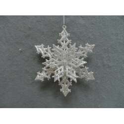 Item 303112 Champagne Silver Snowflake Ornament