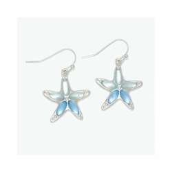 Item 418317 Silver Starfish With Soft Blue Inlay
