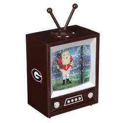 Item 420470 thumbnail University Of Georgia Vintage Tv Water Lantern
