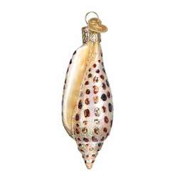 Item 425855 Junonia Shell Ornament