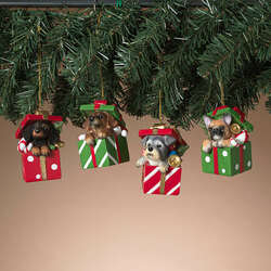 Item 431506 thumbnail Holiday Dog In Gift Box Ornament