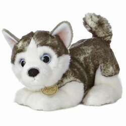 Item 451059 Siberian Husky Pup Miyoni