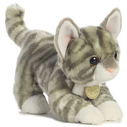 Item 451089 Medium Gray Tabby Kitten Miyoni