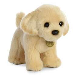 Item 451179 Golden Lab Pupppy Miyoni