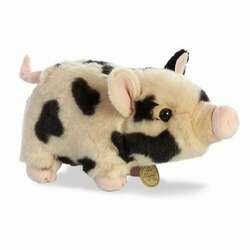 Item 451244 thumbnail Spotted Pot-bellied Piglet