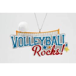 Item 483884 Volleyball Rocks Ornament