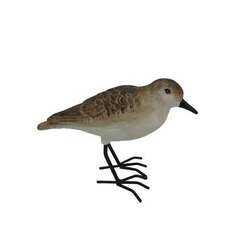 Item 516181 thumbnail Standing Shorebird