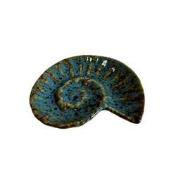 Item 519113 thumbnail Shell Plate
