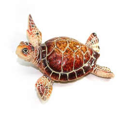 Item 519615 Brown Sea Turtle