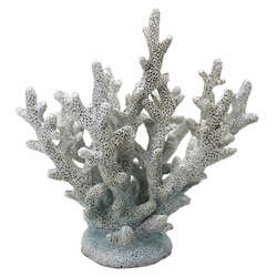 Item 519713 thumbnail White Coral