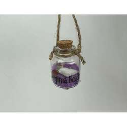Item 524255 Virginia Beach Glass Bottle Ornament