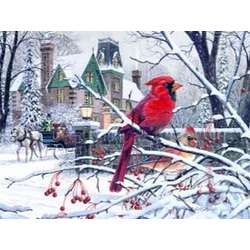Item 552080 Cardinals/carriage Christmas Cards
