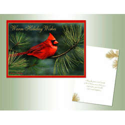Item 552100 Cardinal Gold Foil Christmas Cards
