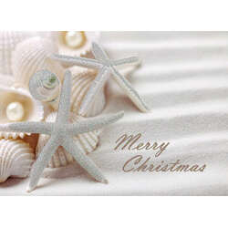 Item 552156 thumbnail Shells and Pearls Christmas Cards