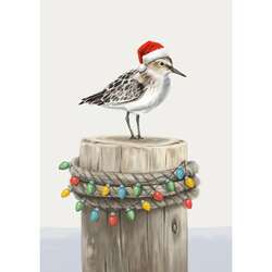 Item 552300 thumbnail Christmas Sand Piper Christmas Cards