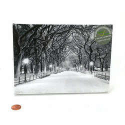 Item 558119 thumbnail LED Snowy Lane Tabletop Canvas Print