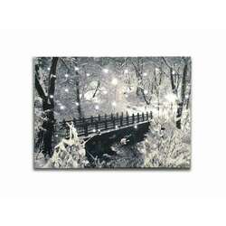 Item 558279 LED Snowy Bridge Canvas Print