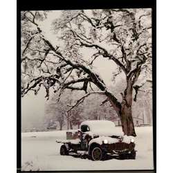 Item 558281 Snow Covered Truck Under Tree Print