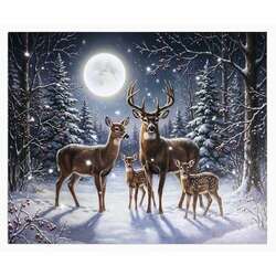 Item 558787 thumbnail Silent Night Lighted Canvas