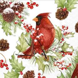 Item 561005 Cardinals In Holly Cocktail Napkins 20ct