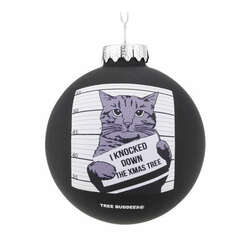 Item 685007 thumbnail Cat Mugshot Ball Ornament